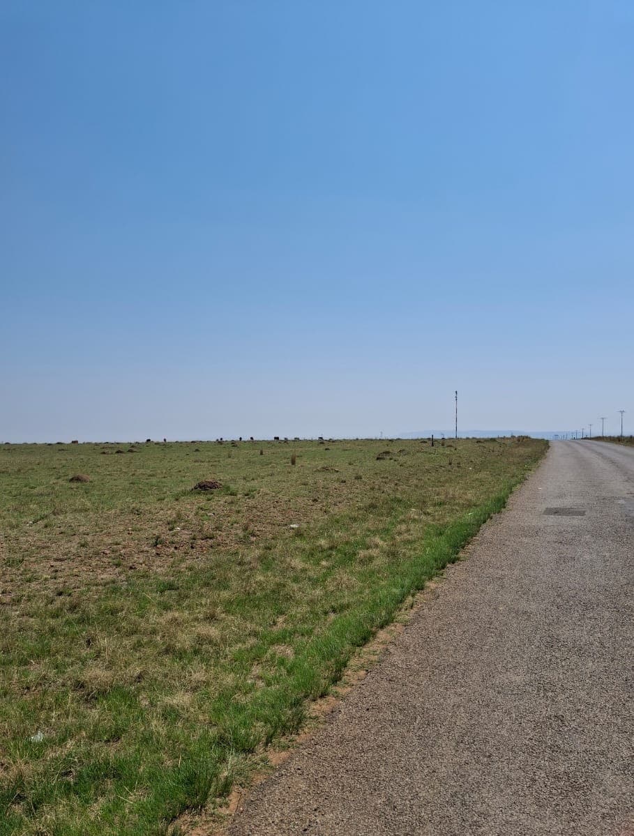 The road running through the New Hope land