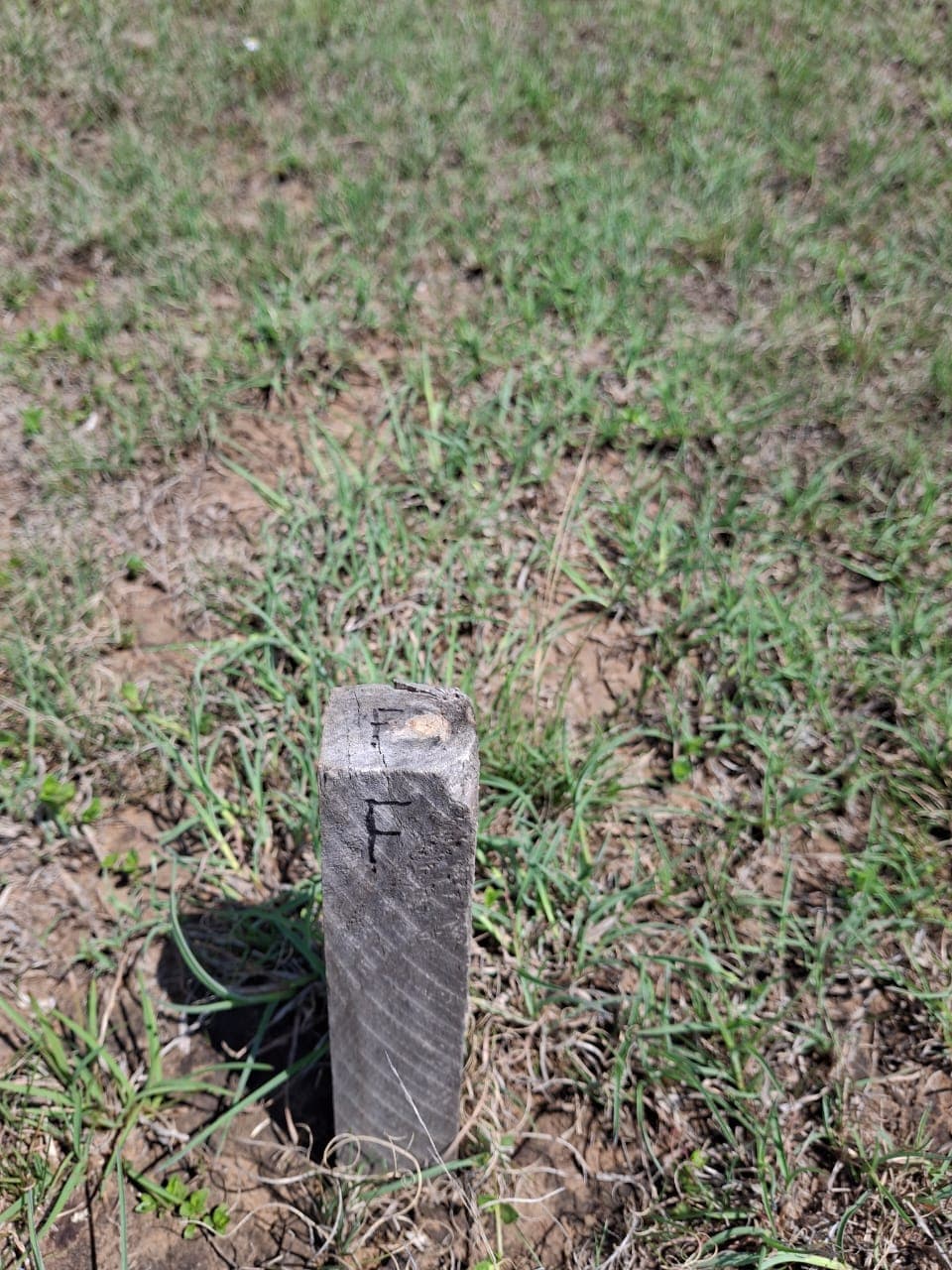 A wooden marker peg in the grass showing a New Hope stand corner